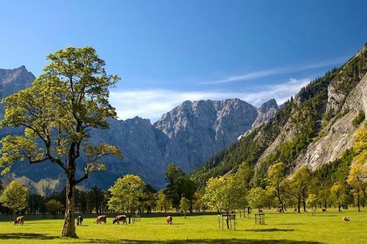 Alpenfreund Appartement Mittenwald Buitenkant foto