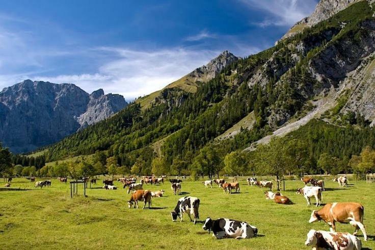 Alpenfreund Appartement Mittenwald Buitenkant foto
