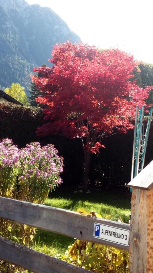 Alpenfreund Appartement Mittenwald Buitenkant foto